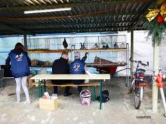 IMG_0038 Kopie.JPG
