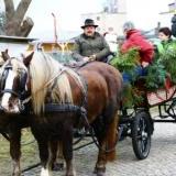 IMG_0050 Kopie.JPG - By: admin
