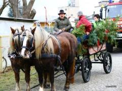 IMG_0050 Kopie.JPG
