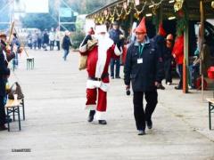 IMG_0053 Kopie.JPG