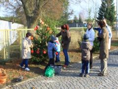 IMG_2179.JPG